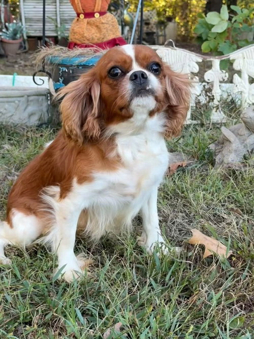 Photo 3 of Annabelle