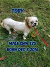 Toby