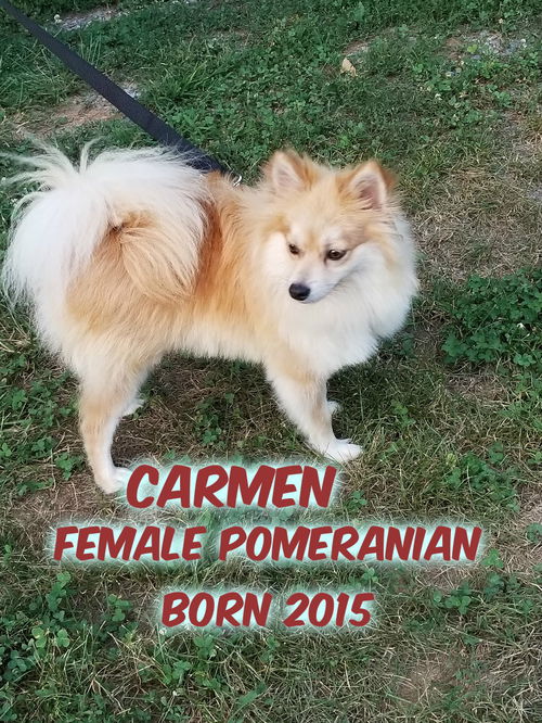 Carmen