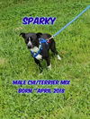 Sparky