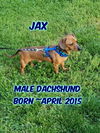 Jax