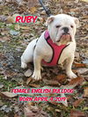 Ruby