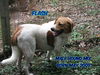 Flash