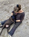 Tyson - Photo 4
