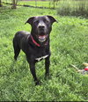 Bruce - Photo 2