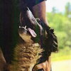 Yukon - Photo 2