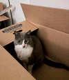 Ms. Boots - Photo 2