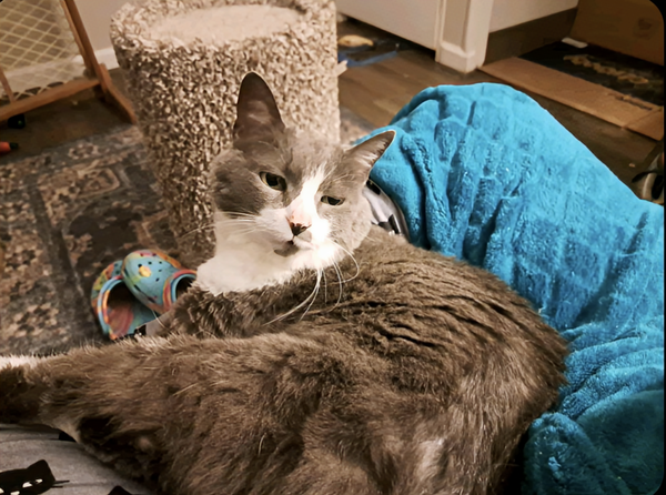 Ms. Boots