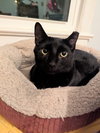 Spencer - Photo 2