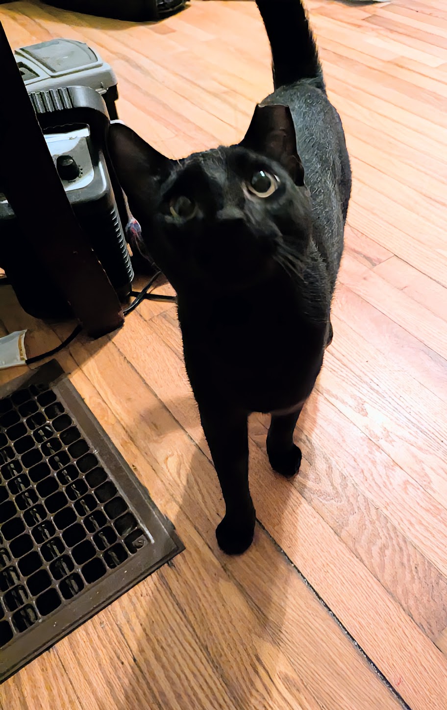Spencer Image