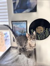 Jasper - Photo 2