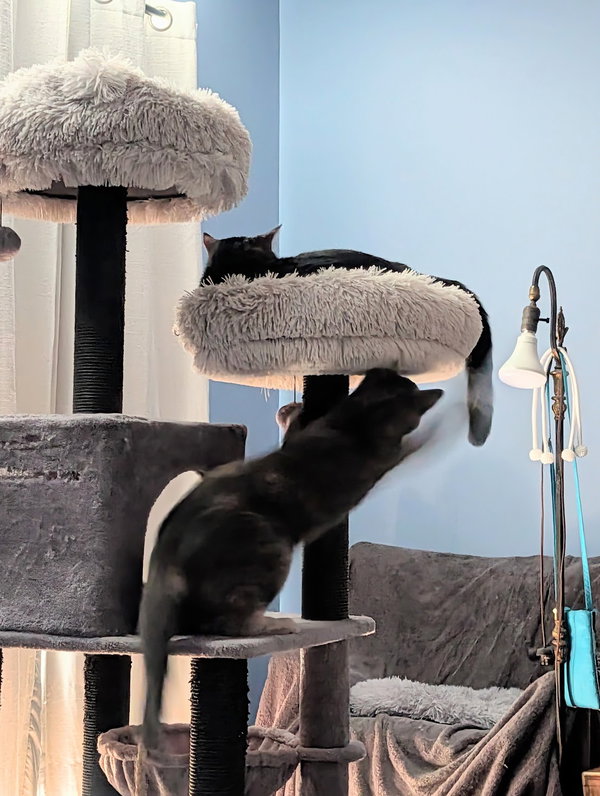 Abigail & Winston