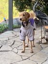 Bentley - Photo 4