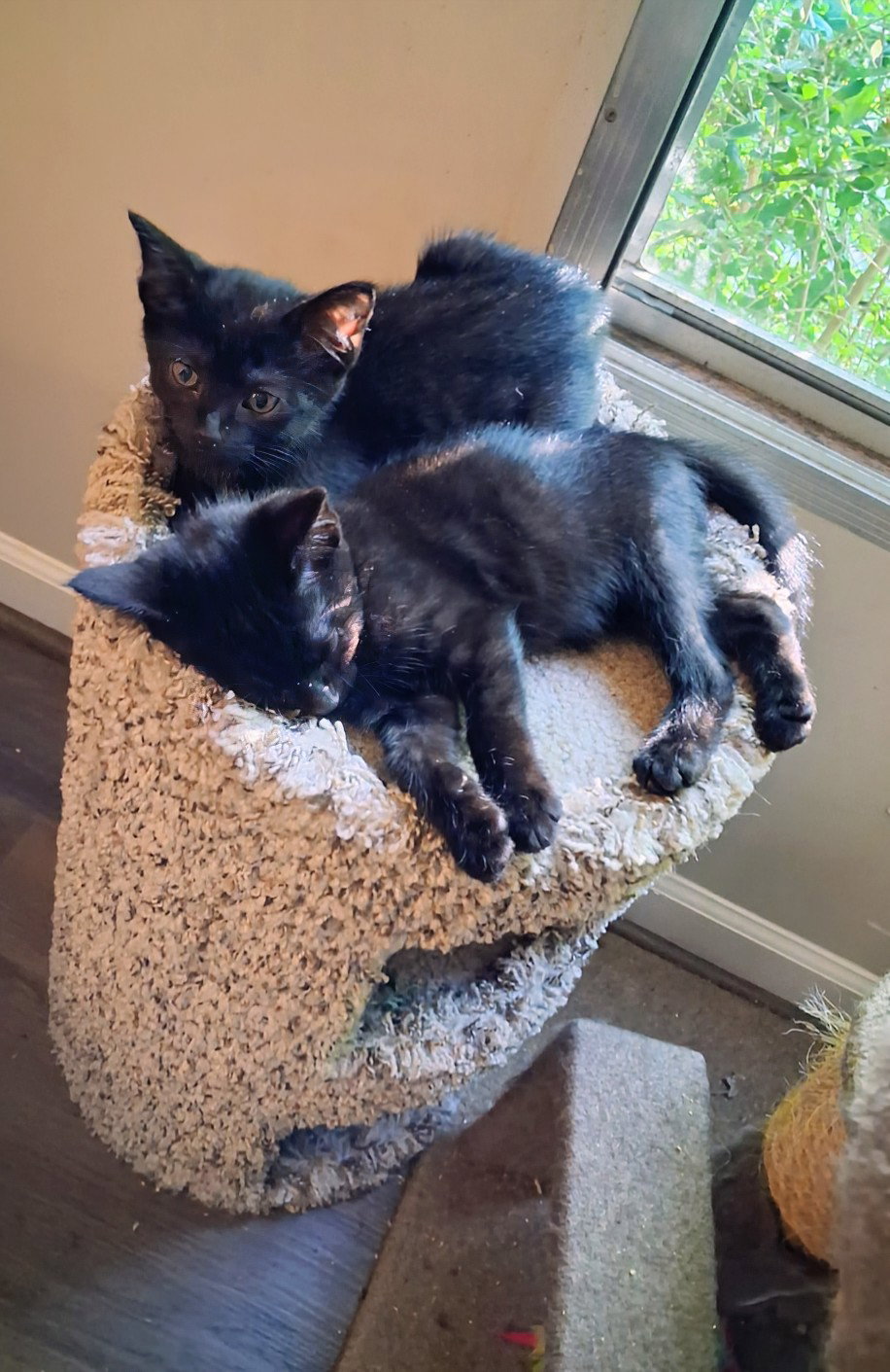 Ernest & Cecil, photo 4
