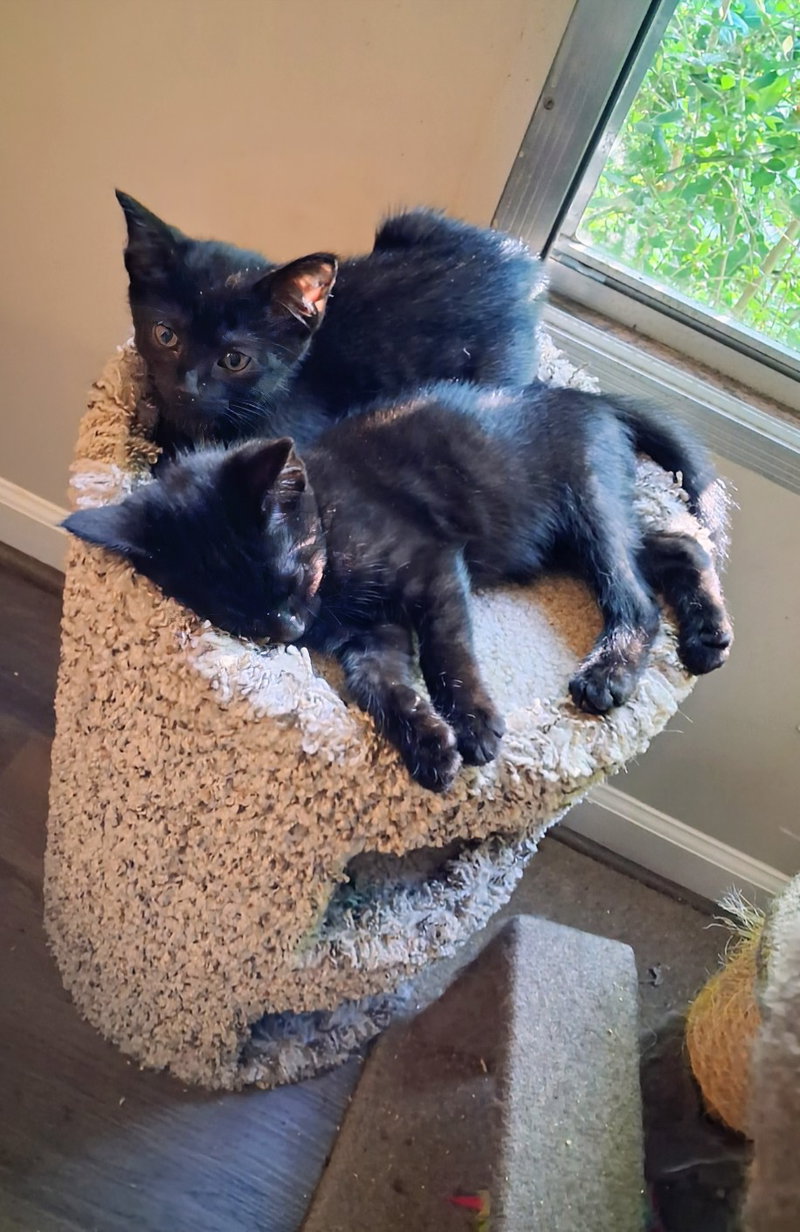 Ernest & Cecil, photo 4