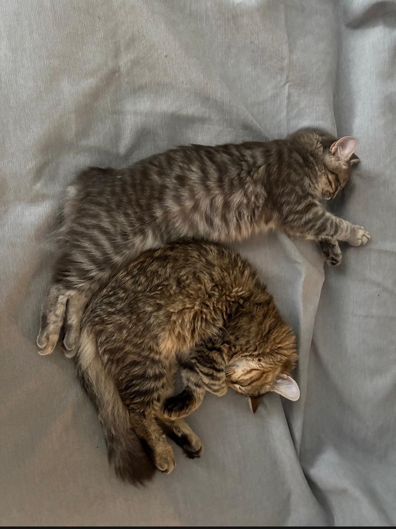 Wilfie & Winnie, photo 4