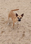 Buddi - Photo 1