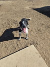 Ruben - Photo 2