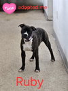Ruby - Photo 1