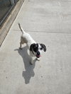 Sammie Bubbles - Photo 1