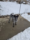Moxie - Photo 1