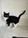 Luna - Photo 1