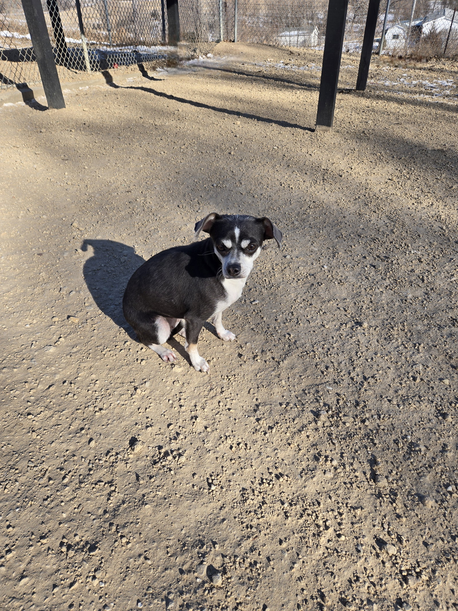 Minnie Image