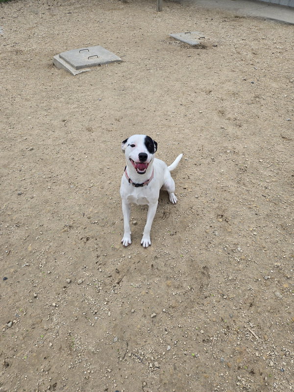 Roxy