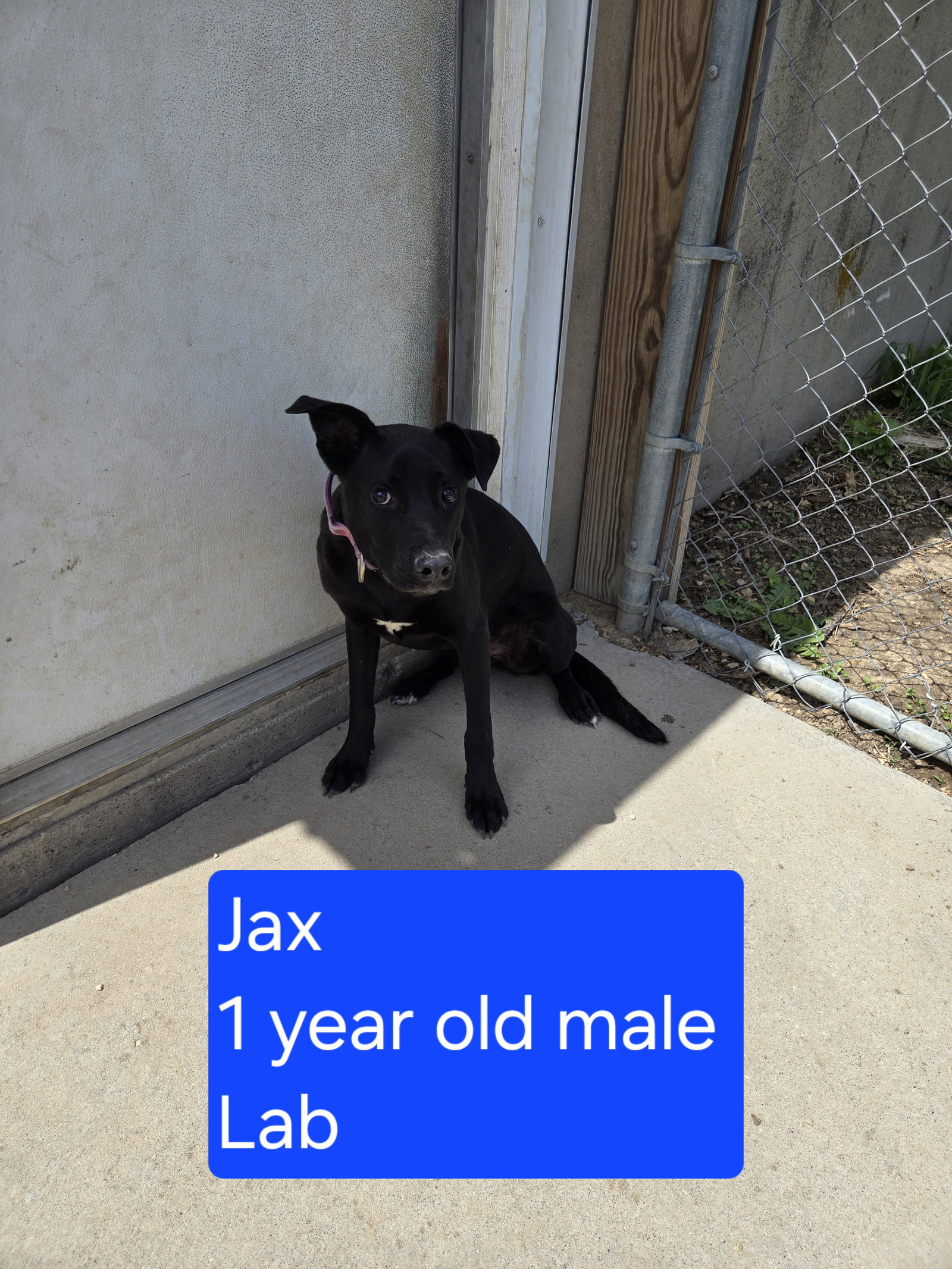 Jax