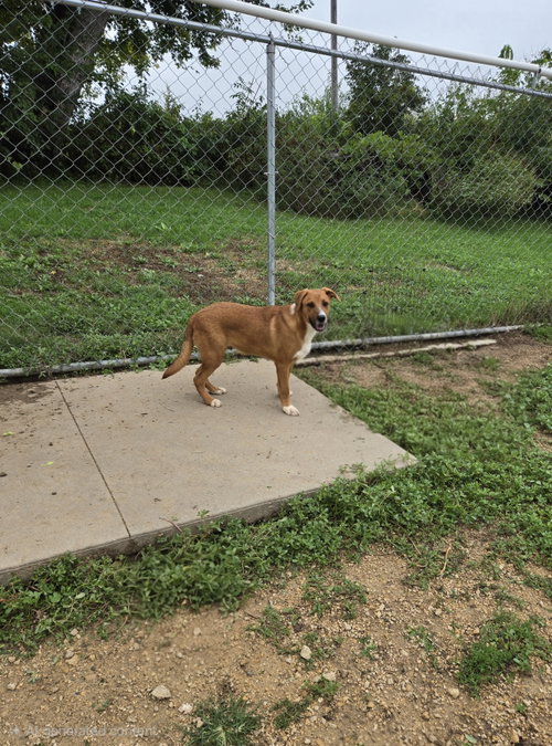 Photo 2 of Jack