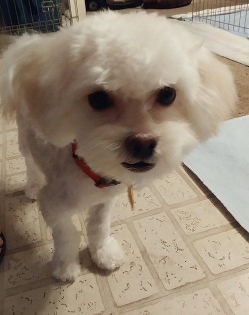 Humphrey (FL) — thumbnail 2