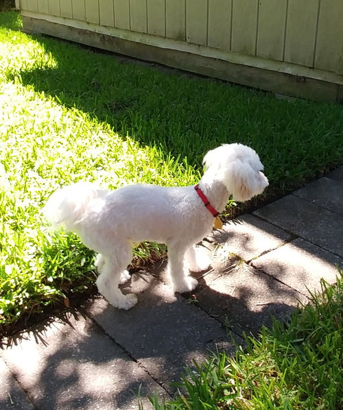 Humphrey (FL) — thumbnail 3