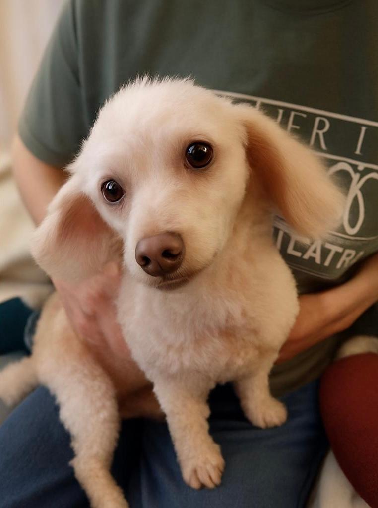 Benny (tn)