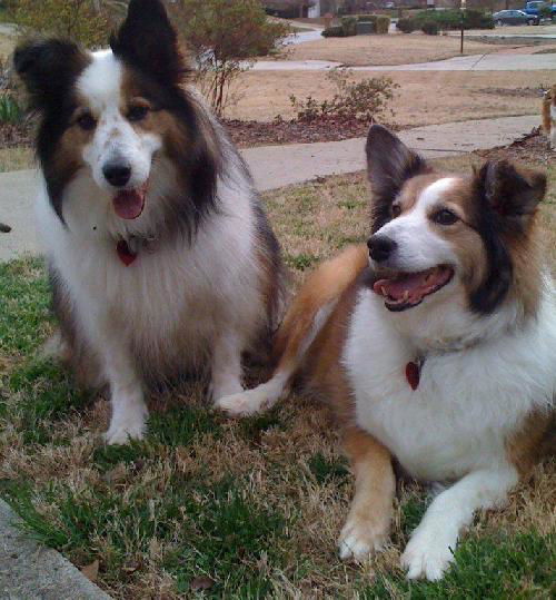 Sophia & Madeline