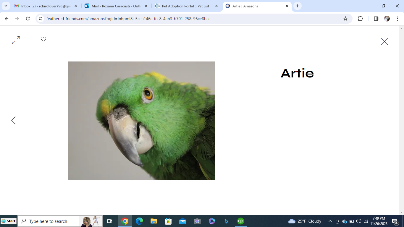 adoptable Bird in Edgerton, WI named Artie