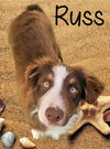 Russ