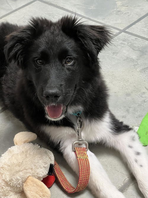 Maggie