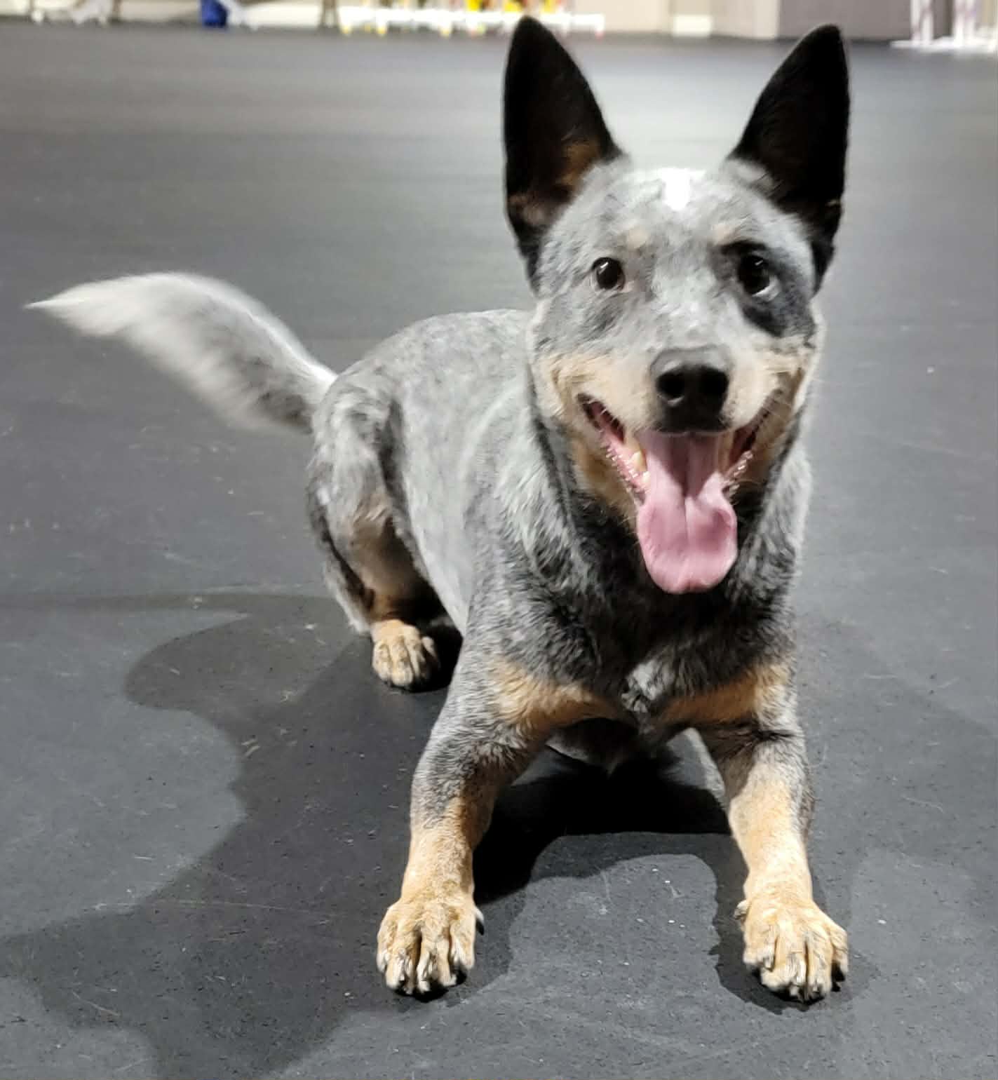 Leroy
