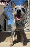 Leroy