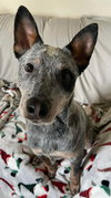 Leroy