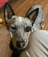 Leroy