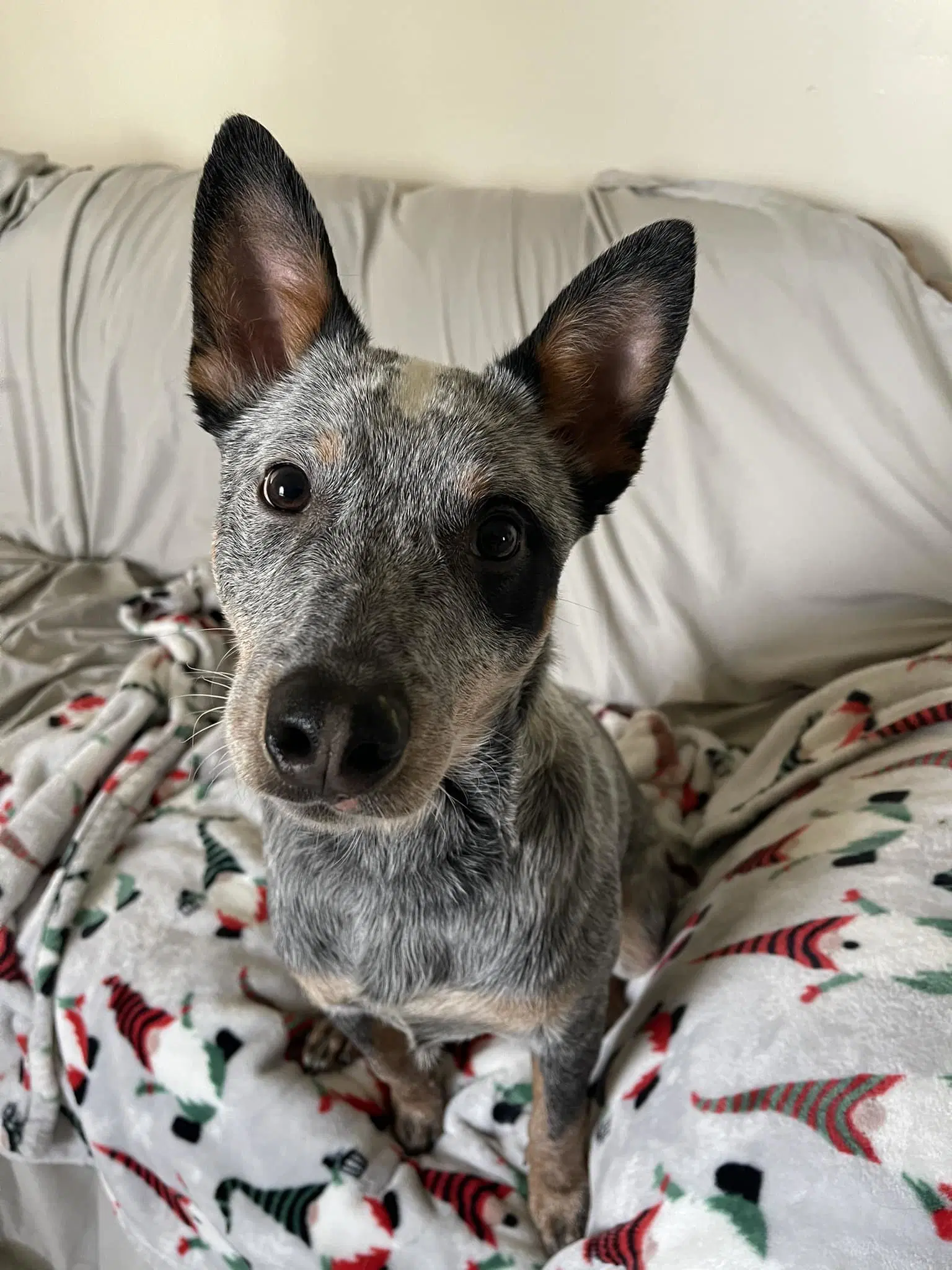 Leroy image 4
