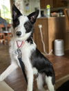 Maggie