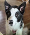 Maggie
