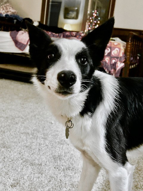 Maggie