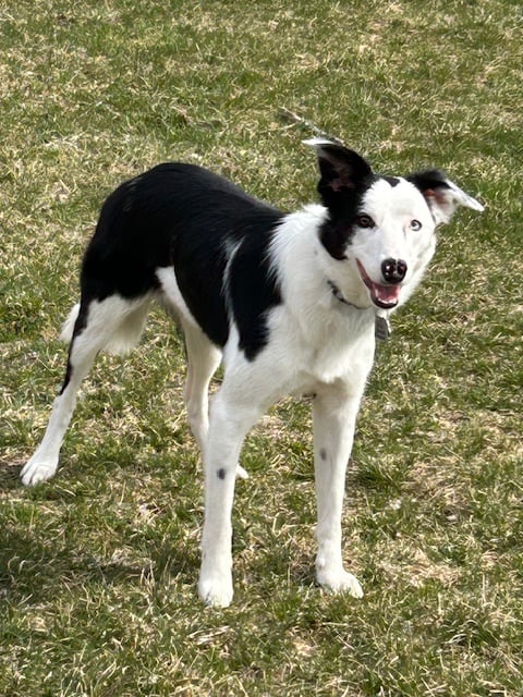 Chloe