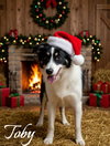 Toby