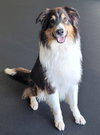 Sawyer