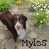 Myles