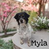 Myla